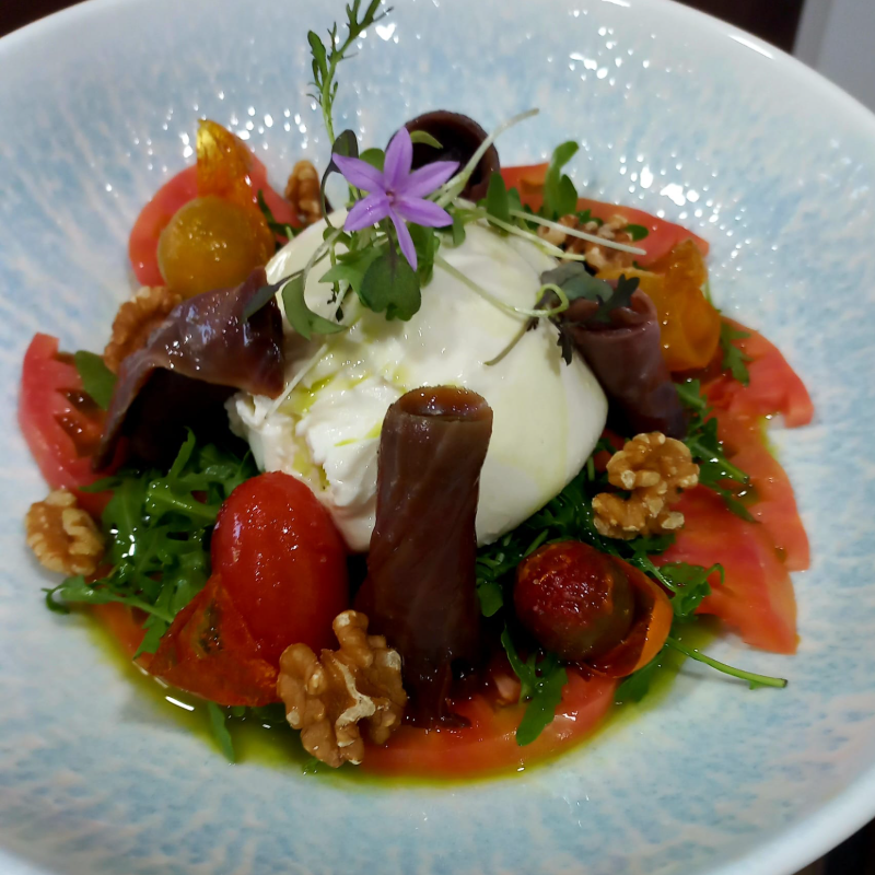 plato8